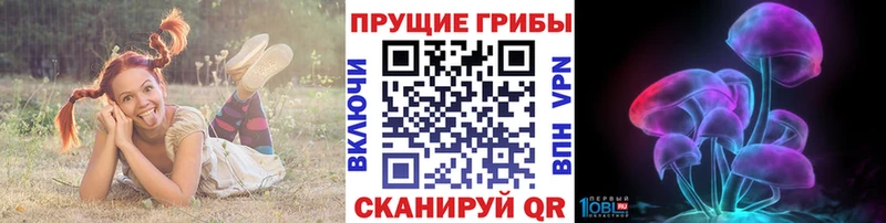 Галлюциногенные грибы Psilocybe  сколько стоит  Саратов 
